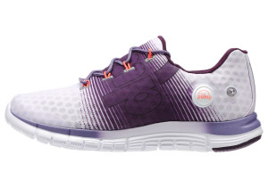 Zpump1