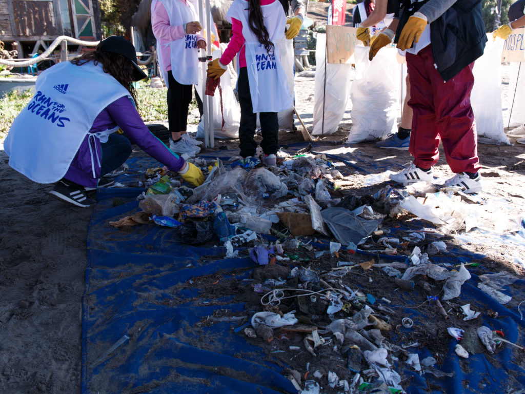 Run for the Oceans
