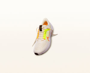 Pegasus 40